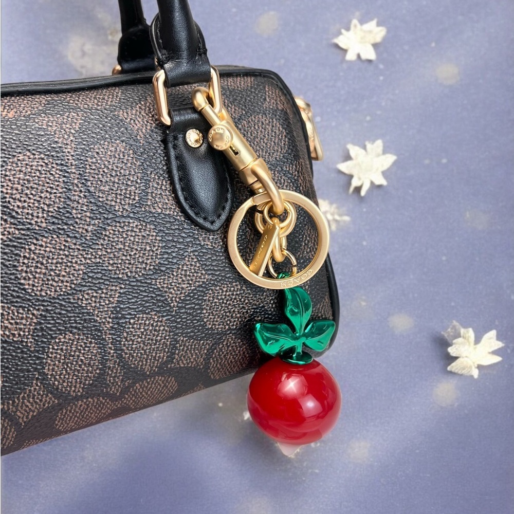 🧀Coach Red and Green Keychain - Picture 8 of 9